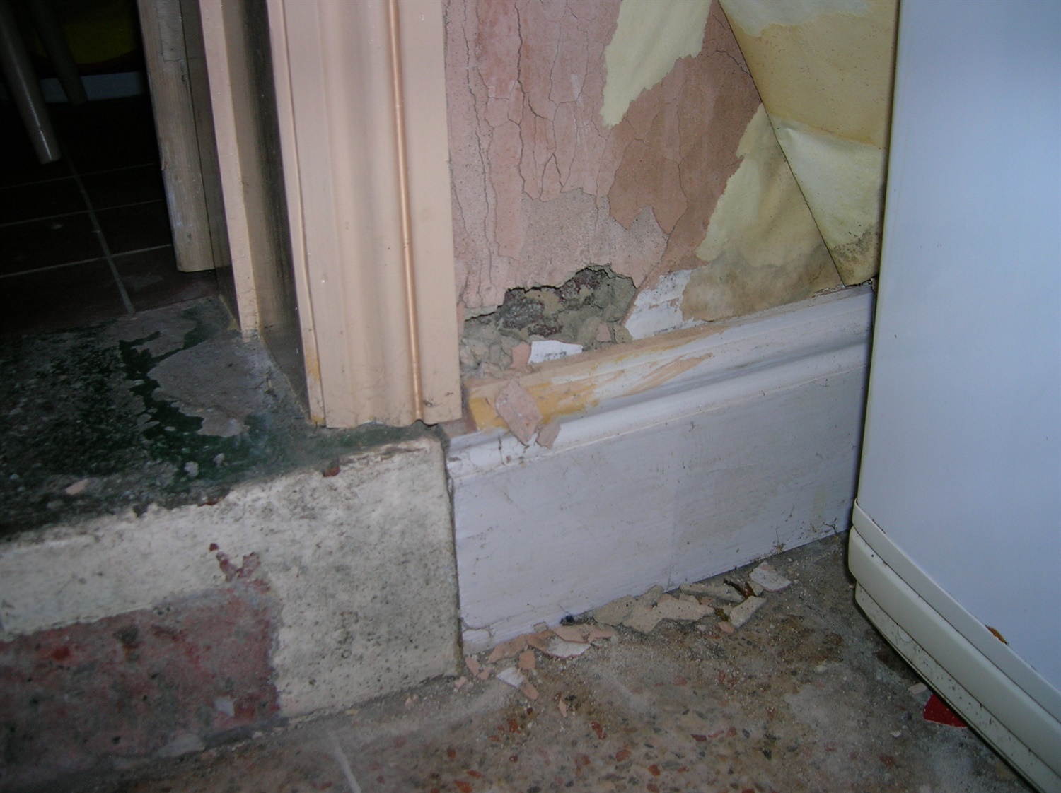 PCA Rising Damp - Wallpaper Peeling